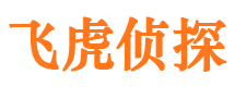 灌阳市侦探公司